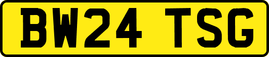 BW24TSG