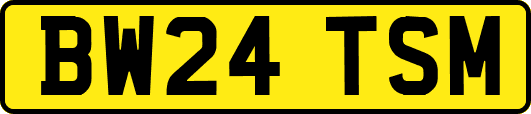BW24TSM