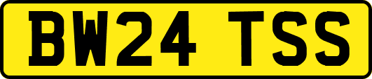 BW24TSS