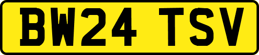 BW24TSV