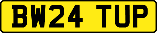 BW24TUP