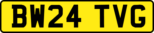 BW24TVG