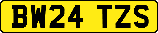 BW24TZS