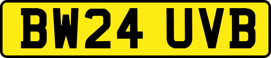 BW24UVB