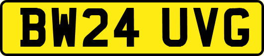 BW24UVG