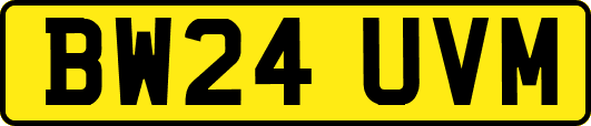 BW24UVM