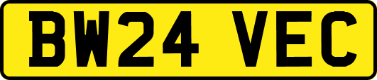 BW24VEC