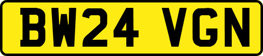 BW24VGN