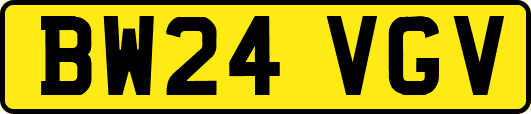 BW24VGV