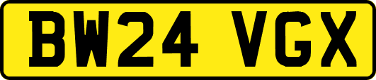 BW24VGX
