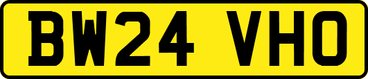 BW24VHO