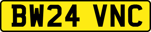 BW24VNC