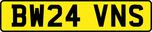 BW24VNS