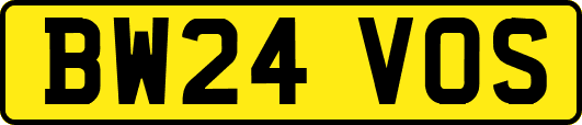 BW24VOS