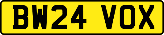 BW24VOX
