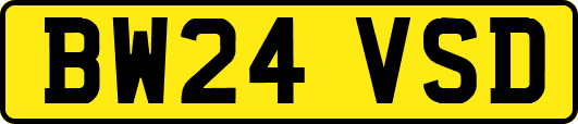 BW24VSD