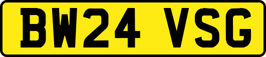 BW24VSG