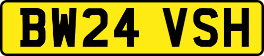 BW24VSH