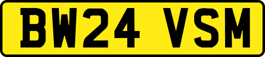 BW24VSM