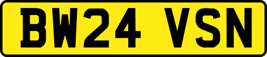 BW24VSN