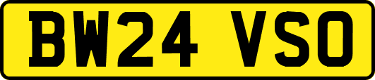 BW24VSO