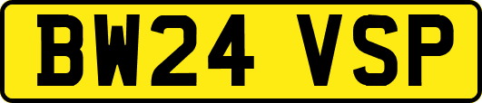 BW24VSP