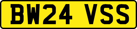 BW24VSS