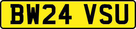 BW24VSU