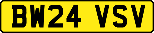 BW24VSV