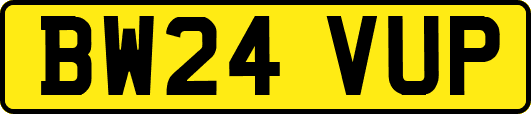 BW24VUP
