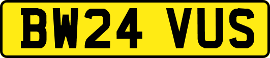 BW24VUS