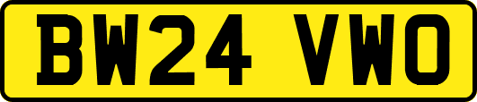 BW24VWO