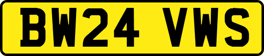 BW24VWS