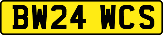 BW24WCS