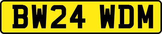 BW24WDM