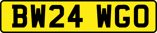BW24WGO