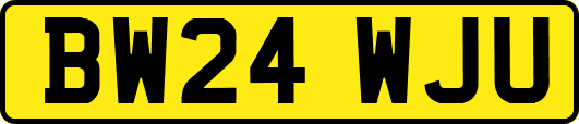 BW24WJU