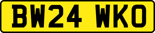 BW24WKO