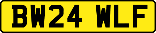 BW24WLF