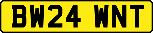 BW24WNT