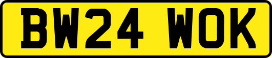 BW24WOK
