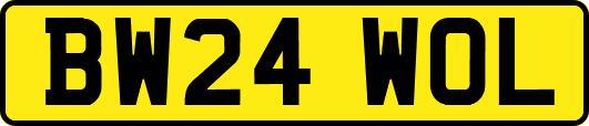 BW24WOL