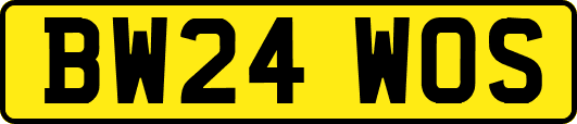 BW24WOS