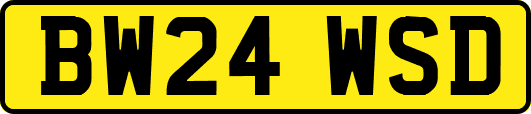 BW24WSD