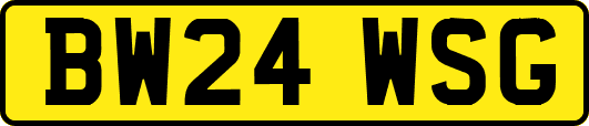 BW24WSG