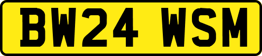BW24WSM