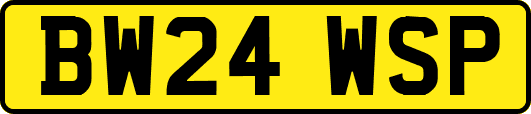 BW24WSP