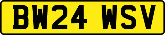 BW24WSV