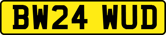 BW24WUD