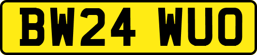 BW24WUO